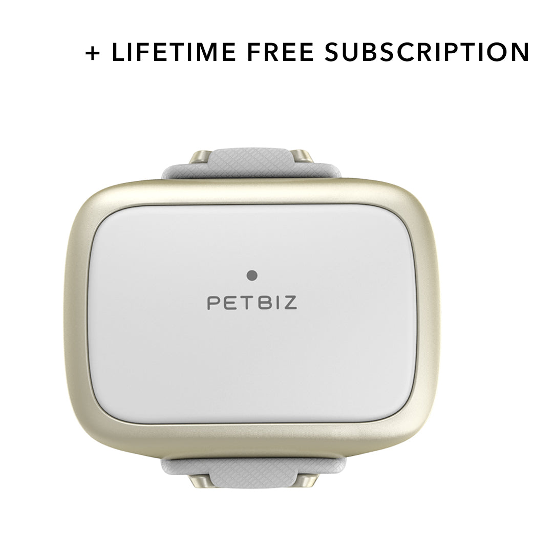 Petbiz Gen1 GPS tracker